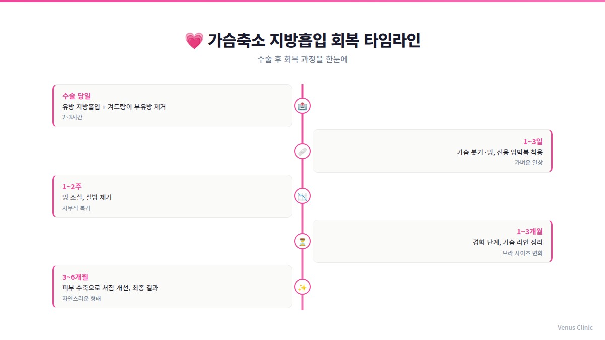 가슴축소 지방흡입 수술 후 회복 타임라인 인포그래픽 — 수술 당일부터 6개월까지 단계별 안내