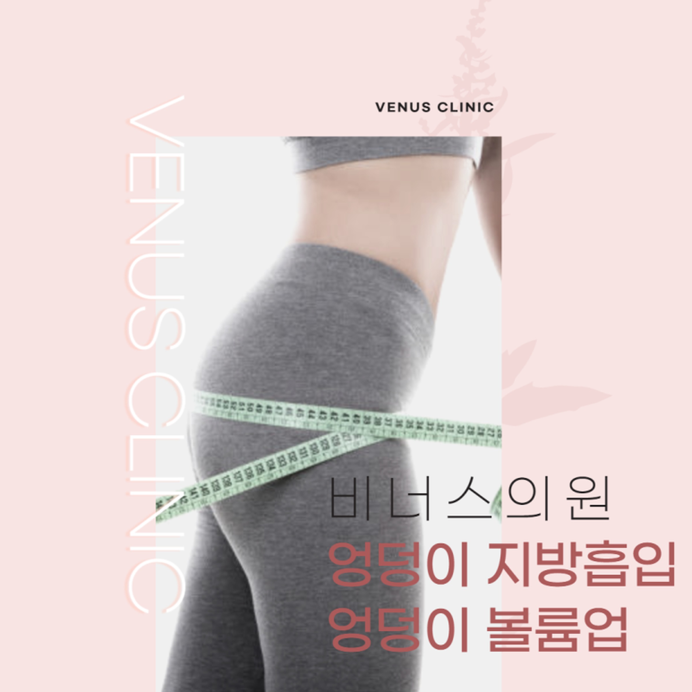 비너스의원 엉덩이 지방흡입 볼륨업 안내 이미지