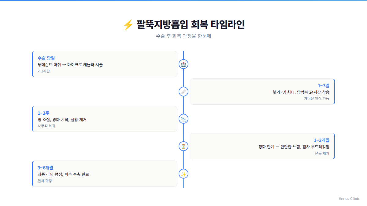 팔뚝 지방흡입 회복 타임라인 인포그래픽 — 비너스의원