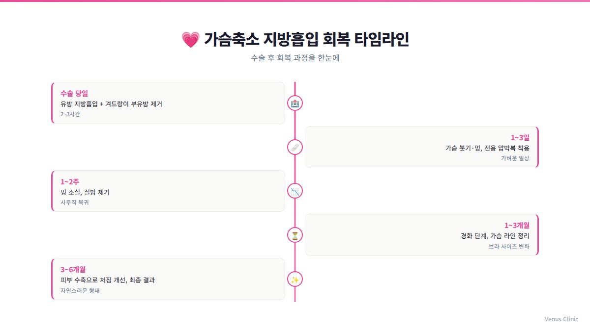 가슴축소 지방흡입 회복 타임라인 인포그래픽 — 수술 당일부터 3개월까지 단계별 경과