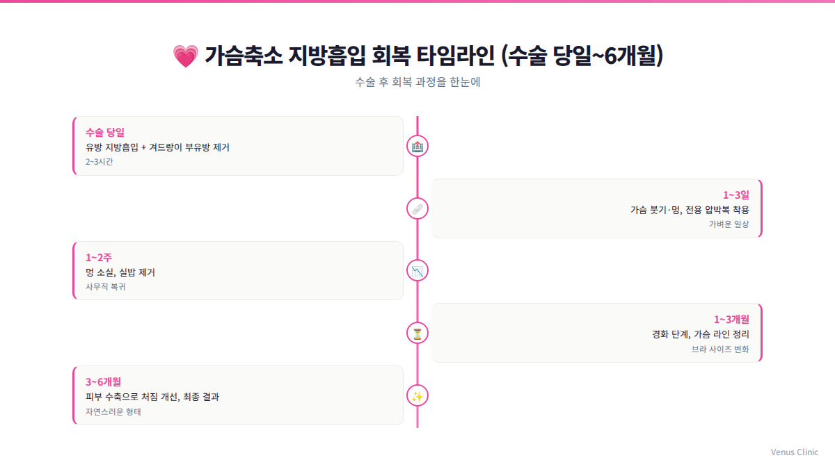 가슴축소 지방흡입 회복 타임라인 인포그래픽 — 수술당일부터 6개월까지