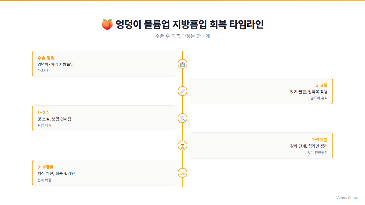 엉덩이 볼륨업 지방흡입 회복 타임라인 인포그래픽 — 수술 당일부터 3~6개월까지
