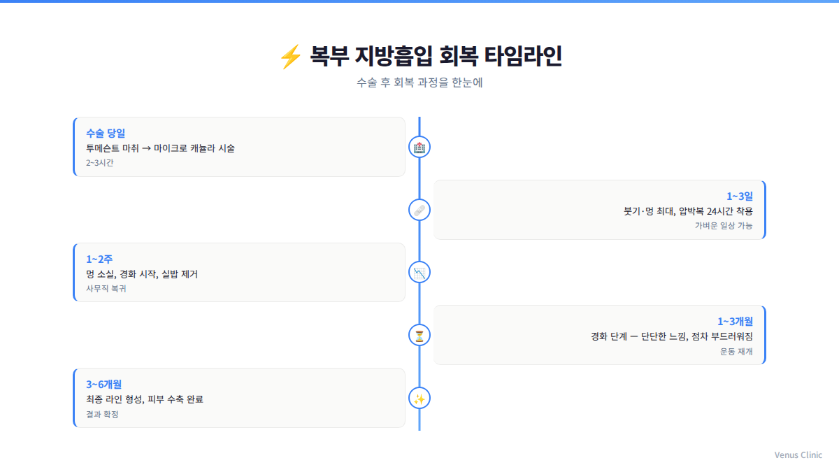 복부 지방흡입 회복 타임라인 인포그래픽 — 수술 당일부터 6개월까지 단계별 회복 과정
