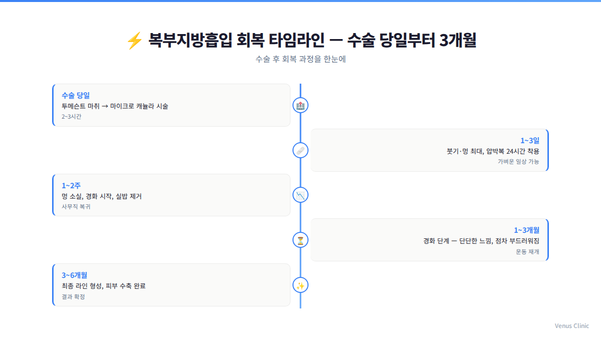 복부지방흡입 회복 타임라인 인포그래픽 — 수술 당일부터 3개월까지