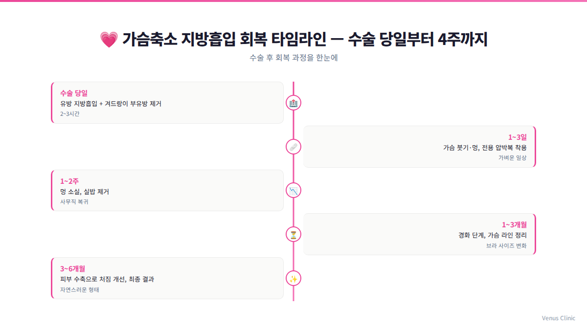 가슴축소 지방흡입 회복 타임라인 인포그래픽 — 수술 당일부터 4주 회복 과정
