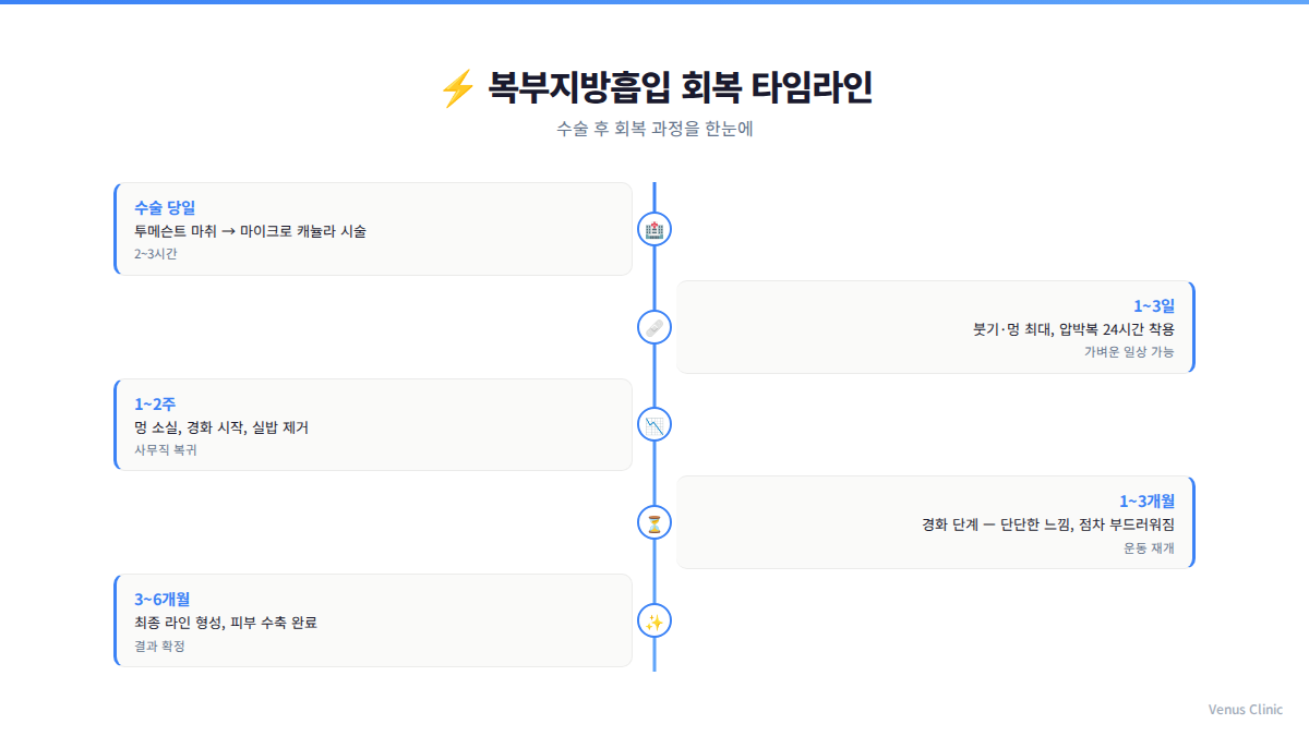 복부지방흡입 회복 타임라인 인포그래픽