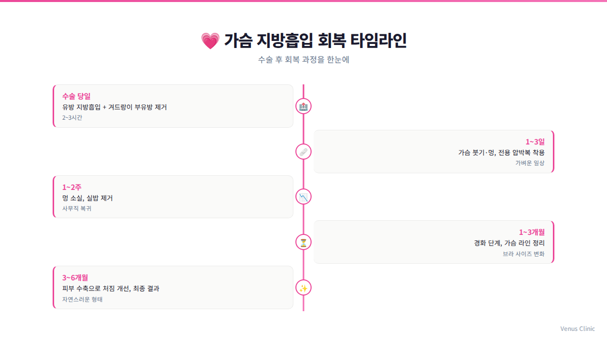 가슴 지방흡입 회복 타임라인 인포그래픽 — 수술 당일부터 회복까지 단계별 과정