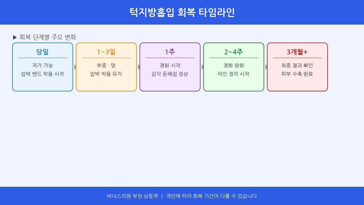 턱지방흡입 회복 타임라인 인포그래픽