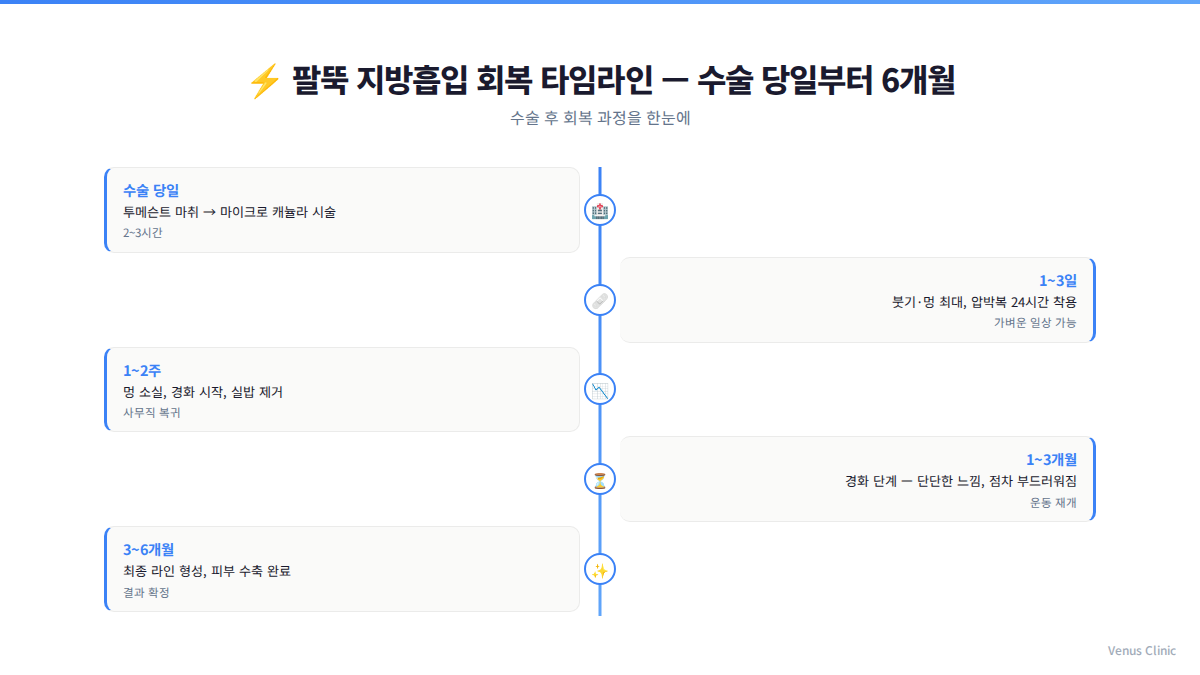 팔뚝 지방흡입 회복 타임라인 인포그래픽 — 비너스의원