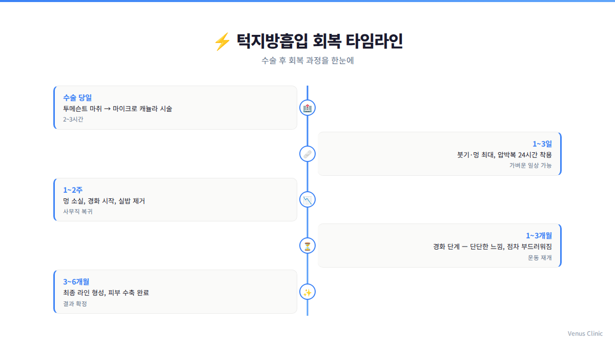 턱지방흡입 회복 타임라인 인포그래픽, 수술 당일부터 6개월 경과