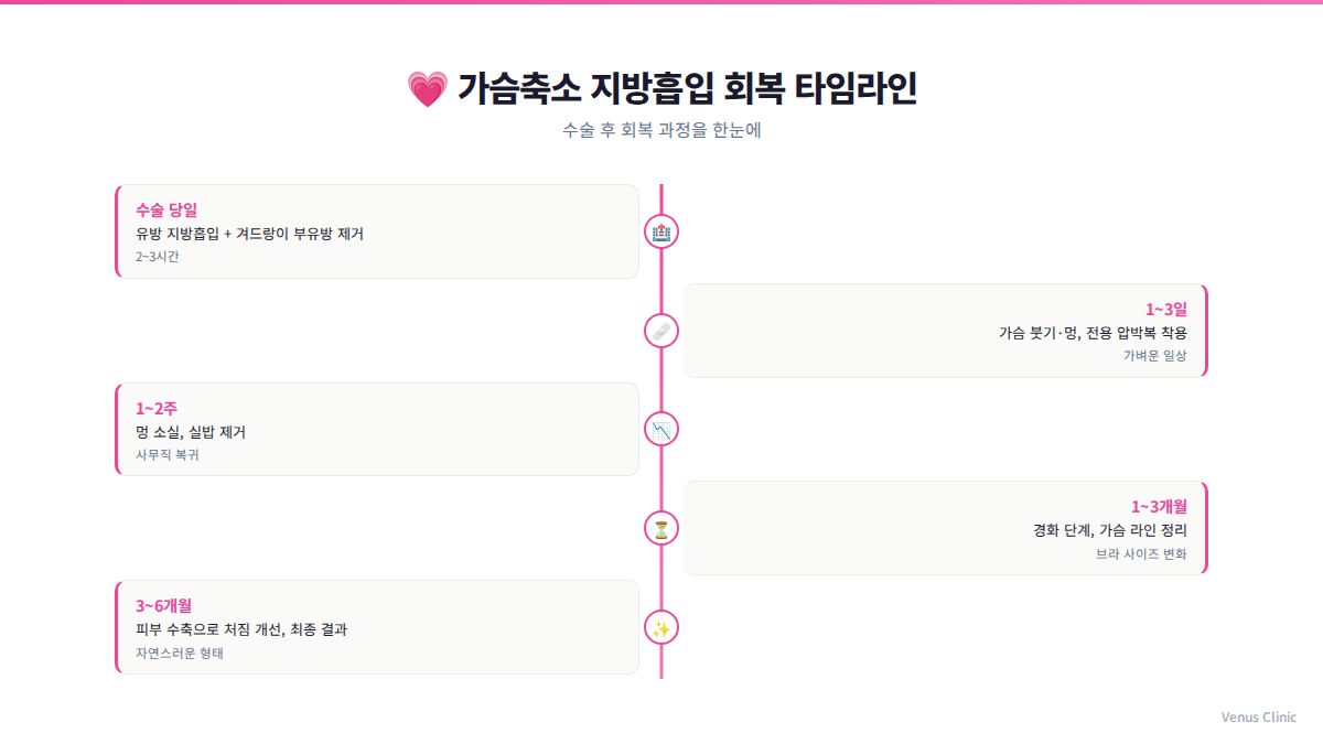 가슴축소 지방흡입 수술 후 회복 타임라인 인포그래픽 — 수술 당일부터 3개월까지 단계별 회복 과정