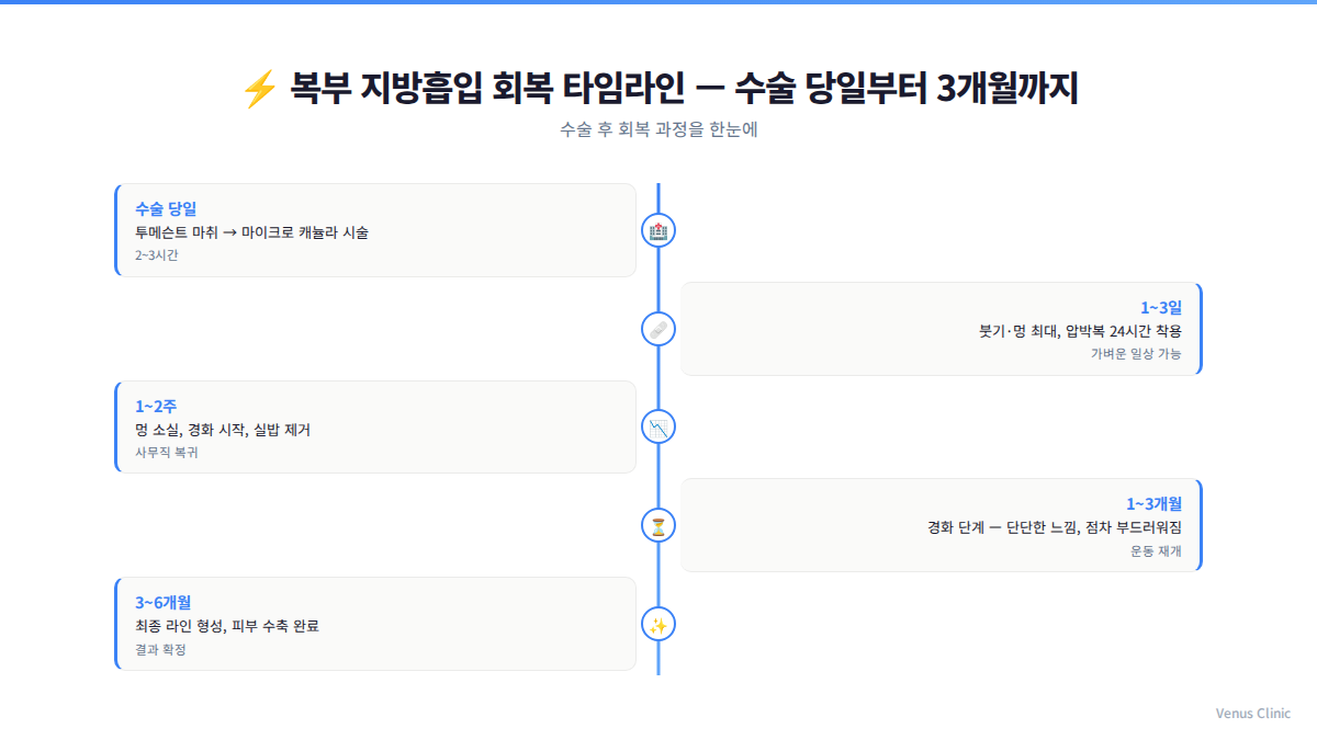 복부 지방흡입 회복 타임라인 — 수술 당일부터 3개월까지 단계별 안내
