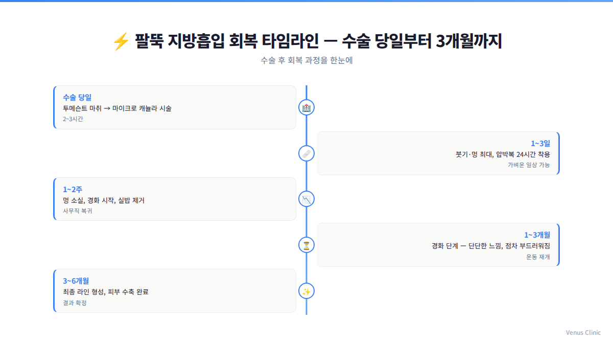 팔뚝 지방흡입 회복 타임라인 인포그래픽 — 수술 당일부터 3개월까지