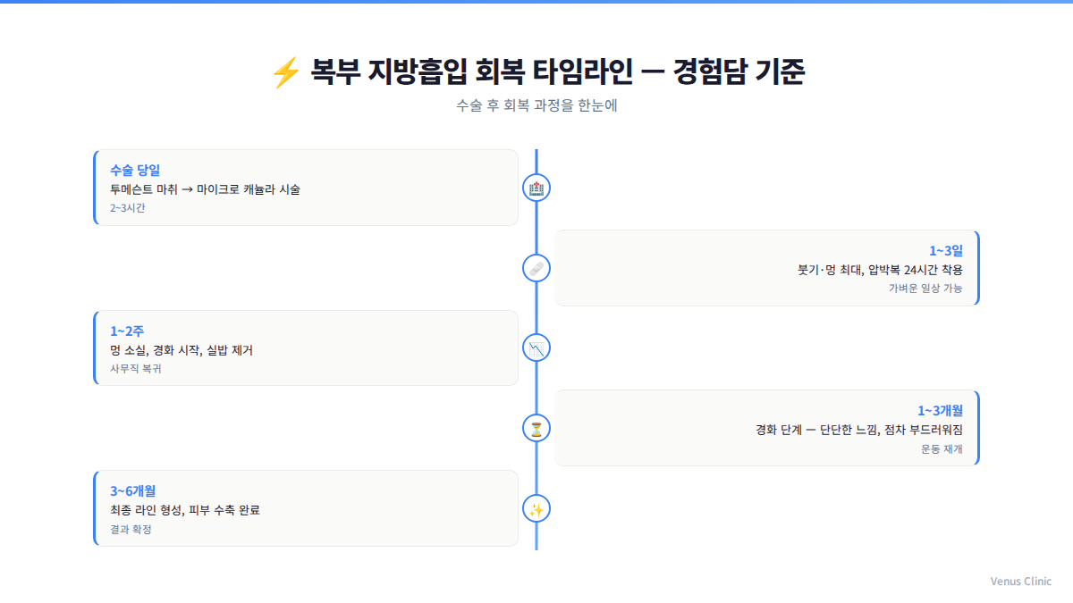 복부지방흡입 수술 후 회복 타임라인 인포그래픽