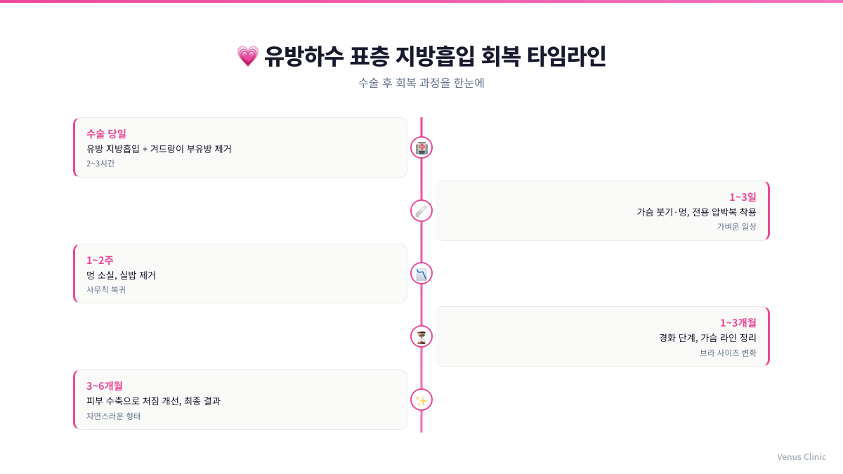 유방하수 표층 지방흡입 후 회복 타임라인을 정리한 인포그래픽