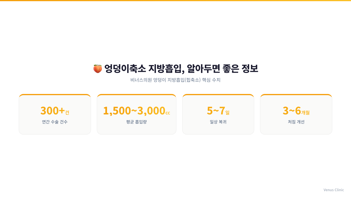 엉덩이축소 지방흡입 관련 핵심 정보 인포그래픽