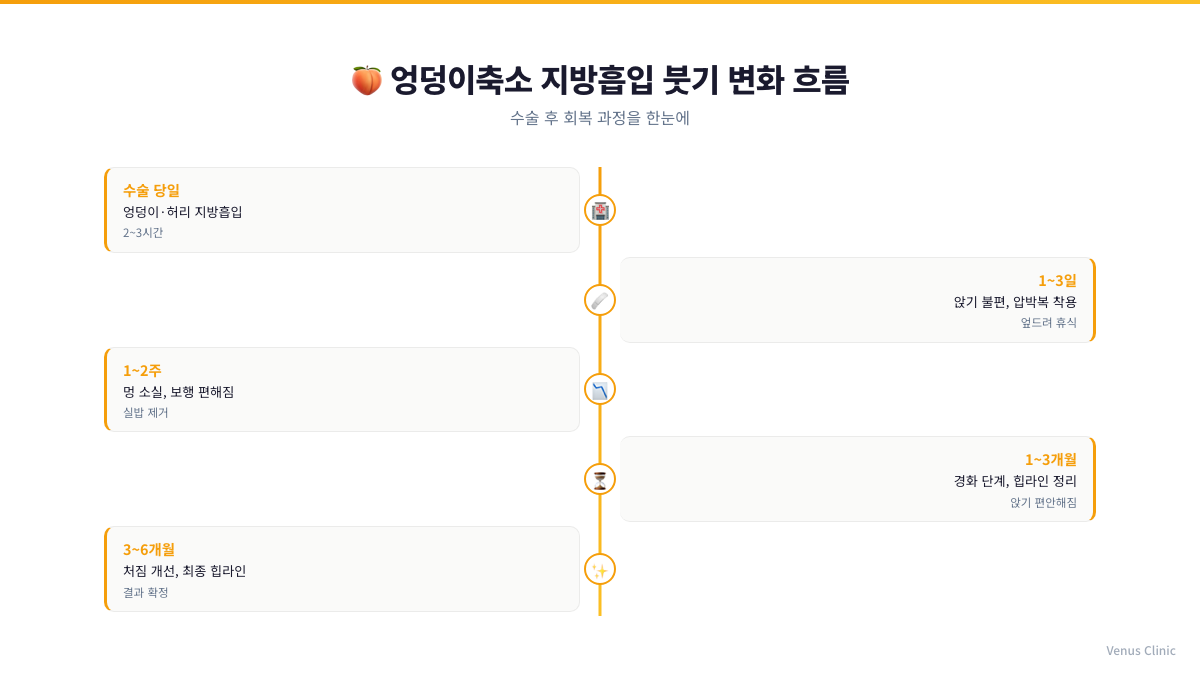 엉덩이축소 지방흡입 붓기 변화 흐름 타임라인 인포그래픽