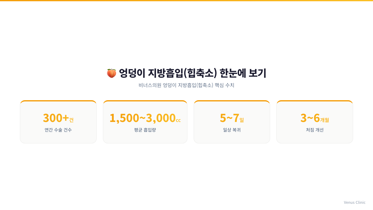엉덩이 지방흡입 핵심 정보 요약 인포그래픽