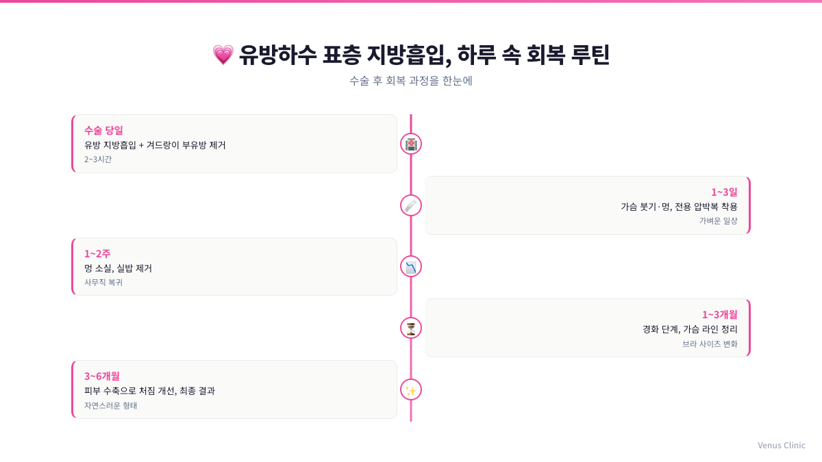 유방하수 표층 지방흡입 수술 후 회복 타임라인 인포그래픽 - 수술 당일부터 6개월까지