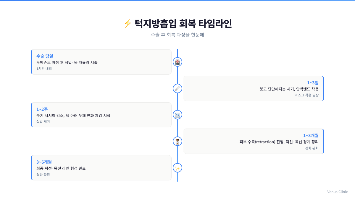 턱지방흡입 회복 타임라인 인포그래픽 — 수술 당일부터 6개월까지 단계별 변화