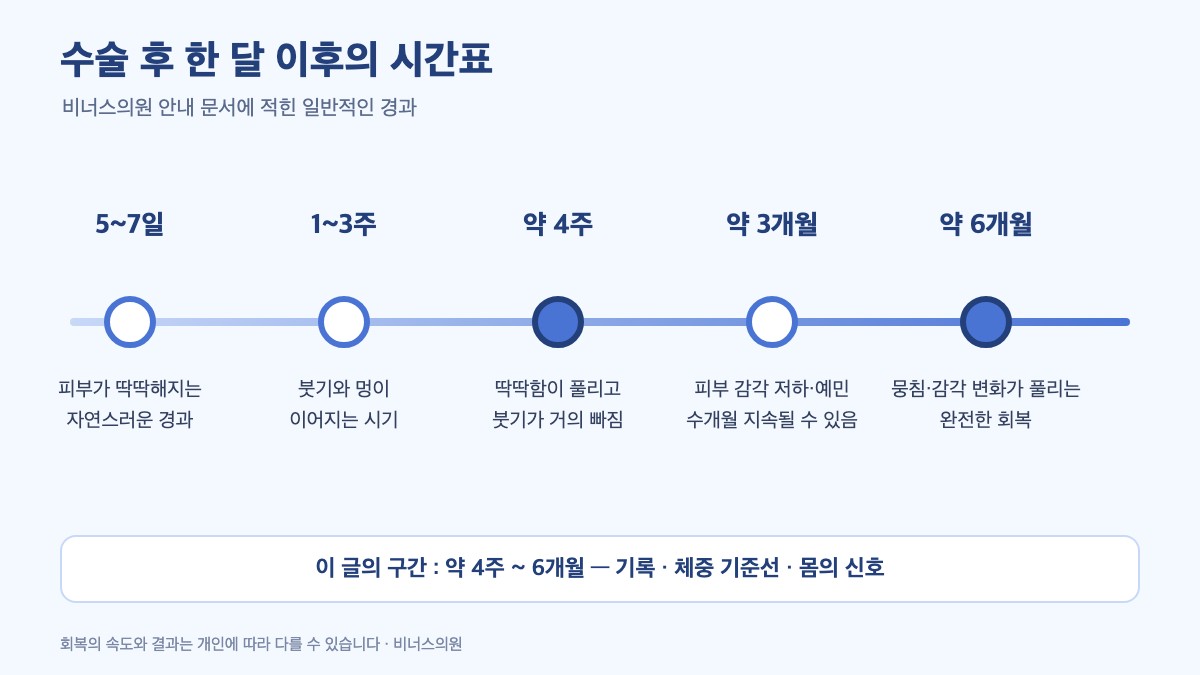 수술 후 5~7일, 1~3주, 약 4주, 약 3개월, 약 6개월의 일반적인 경과를 가로 타임라인으로 정리한 인포그래픽