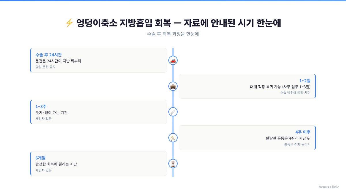 엉덩이축소 지방흡입 회복 시기 인포그래픽 - 운전 24시간, 직장 복귀 1~2일, 붓기와 멍 1~3주, 활발한 운동 4주 이후, 완전한 회복 6개월